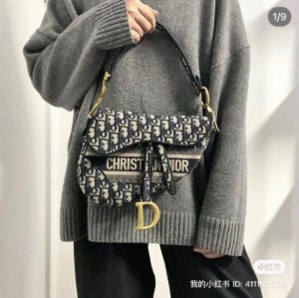 Dior Saddle Premium Quality Bag With OG Box & Carry Bag