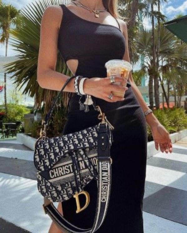 Dior Saddle Premium Quality Bag With OG Box & Carry Bag