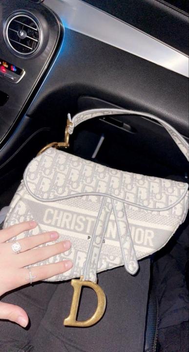 Dior Saddle Gray Colour Premium Quality With Box